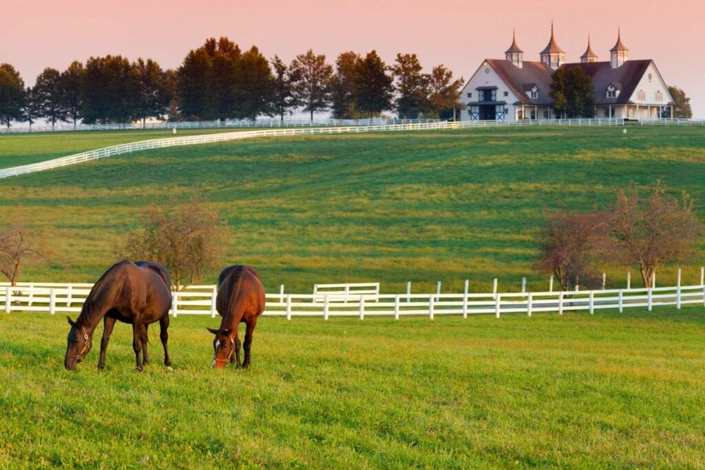 Two horses grazing in a green field with a white fence and buildings in the background at sunset.