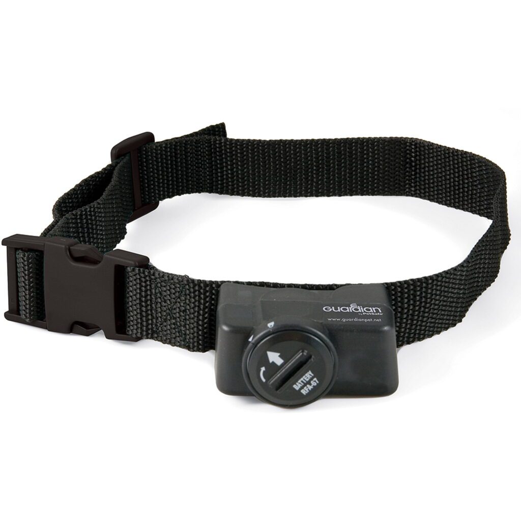 Black dog collar with adjustable buckle.