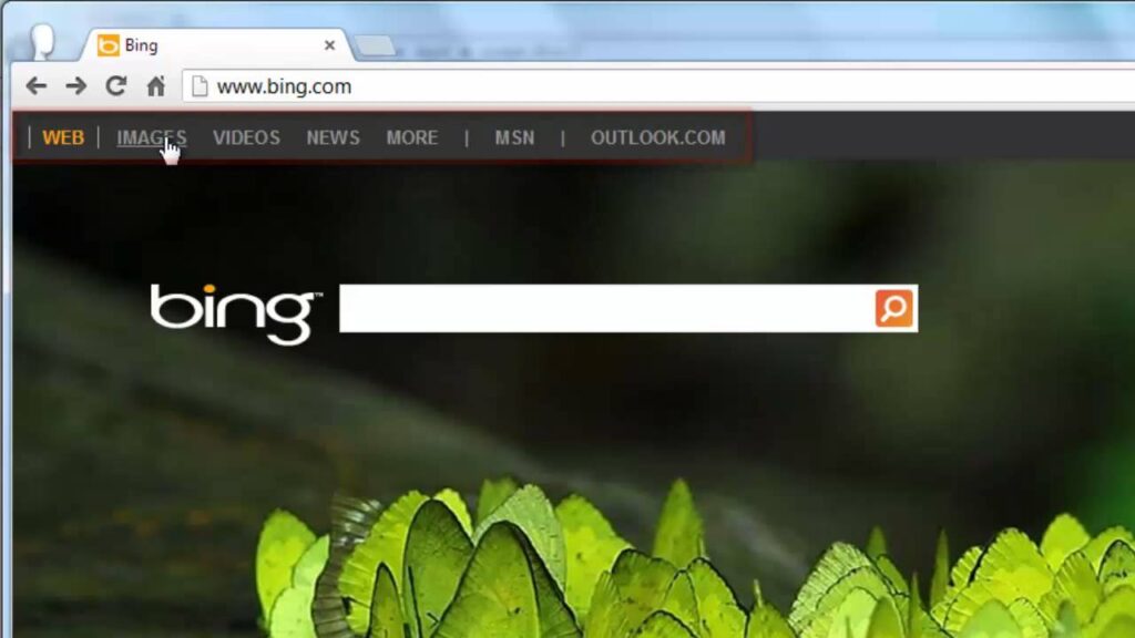 Bing search page with green leaf background.